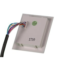 Gas-powered tankless water heater IWH-1.5E